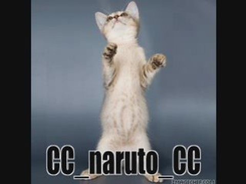 Linkin park Don't Stay remix