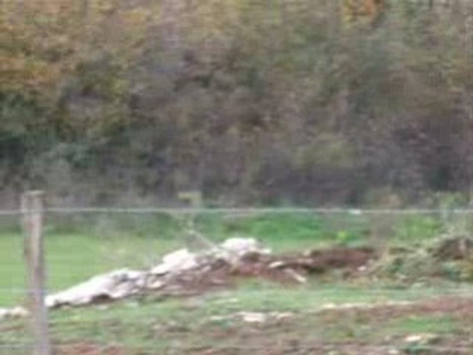13 octobre 2008
