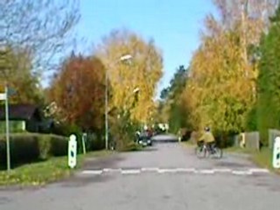sandro cyklar