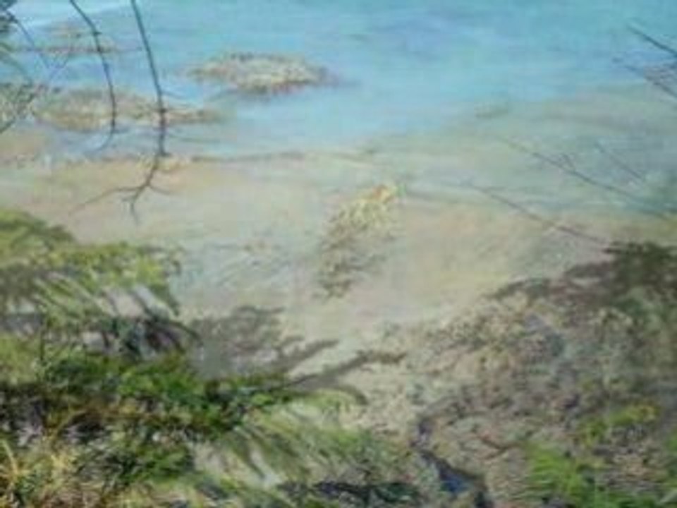 Etables sur Mer, sentier des douaniers