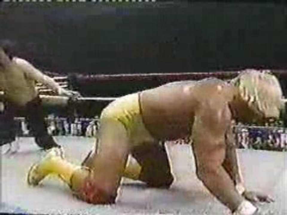Hulk hogan vs tiger chung lee