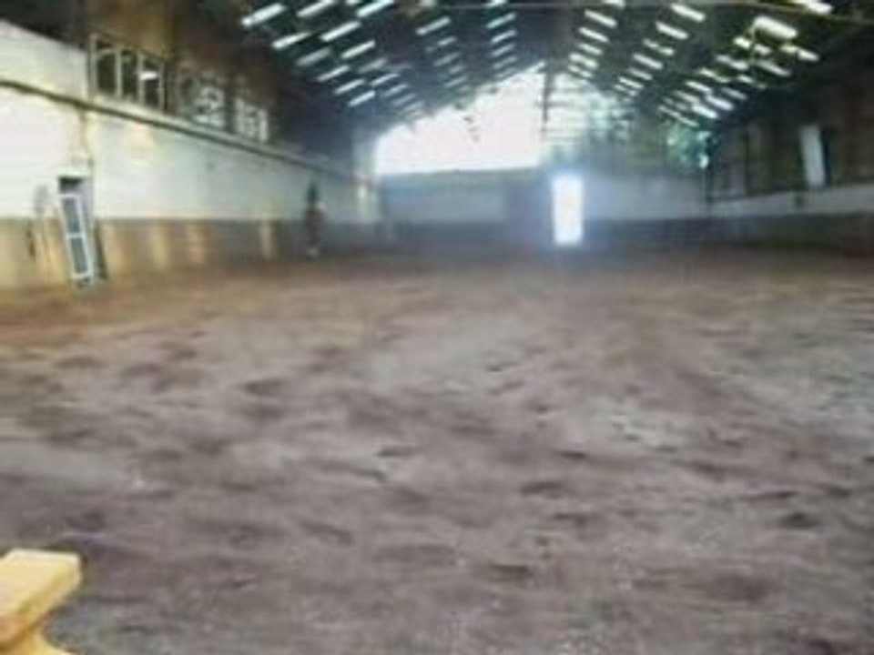 Reprise de dressage