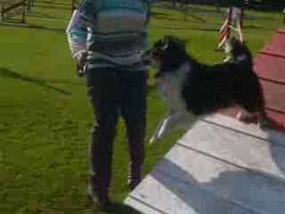 Michèle et flam vat aalter