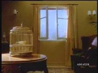 Fenetre pour belle mere