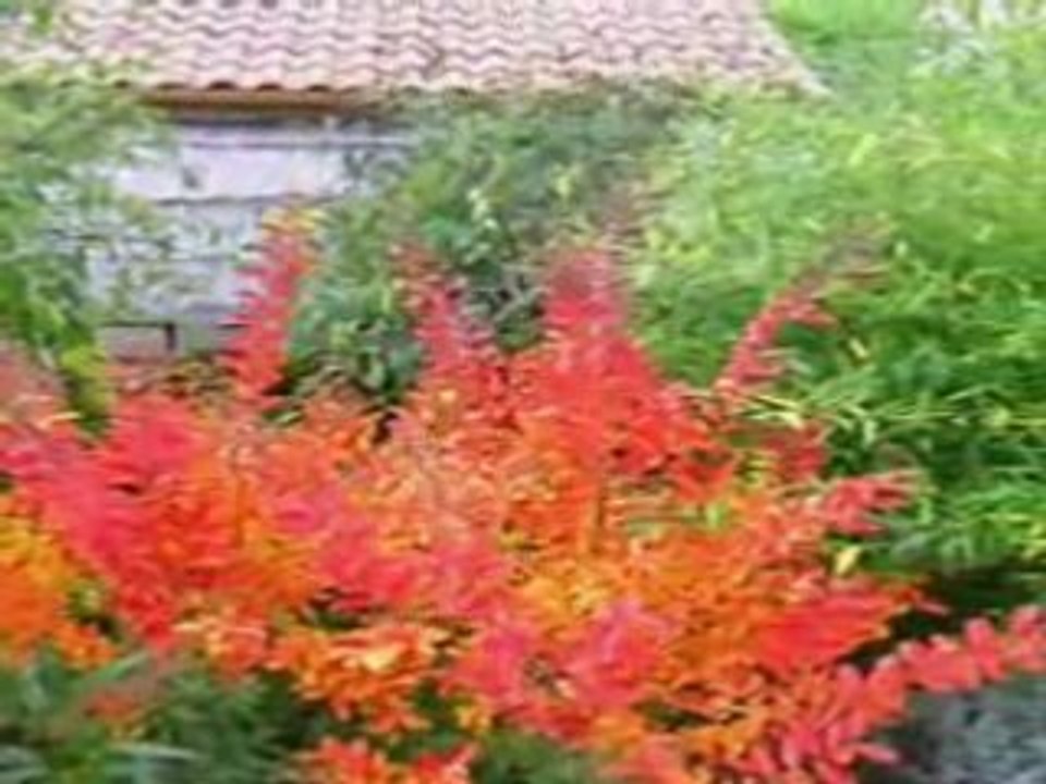 Notre Talus flamboie