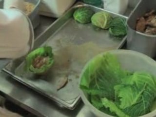 Perdrix en feuille de choux vert