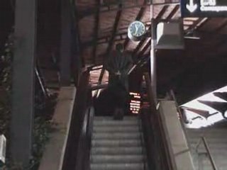 Lévitation Escalator Gare de Lyon Perrache 2008