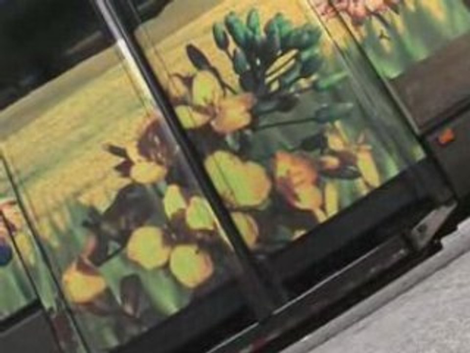 Bus Diester