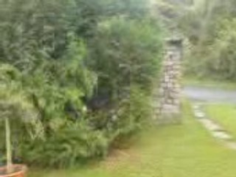 Groland 62