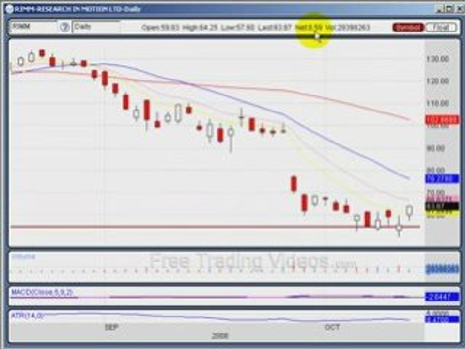 Oct. 13.08 :: HUGE BULLISH DAY!