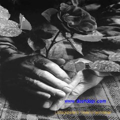 Ekrem  Çelebi  Garyi Dayanamam(Garamustafa)