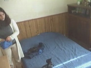 stéphanie la voleuse de tirelire (77-Meaux)