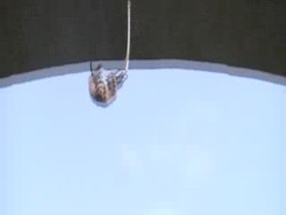 Thierry saut à l'elastique