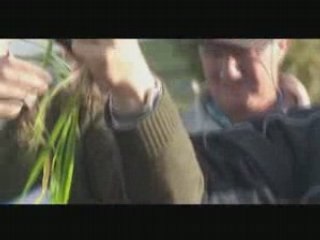 Cereal crops in organic farming system
