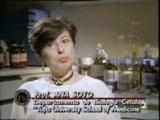 Disruptores endocrinos (5): Cancer