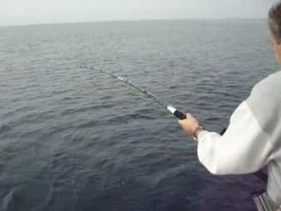 MOV02433
