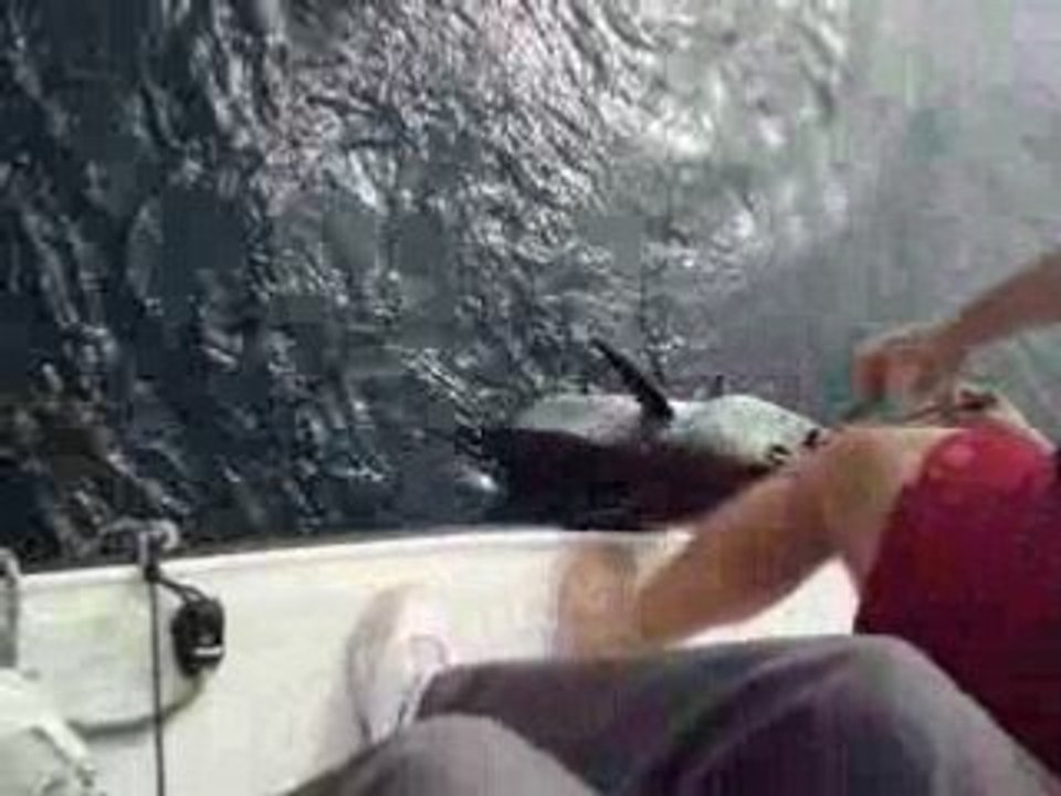MOV02435