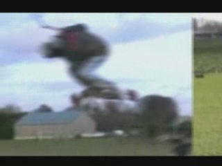 Festival du Film 2024 🎬