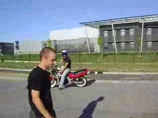 lelex