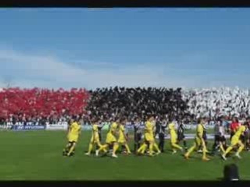 Bulgarian Ultras & Hools = 100% A.C.A.B.