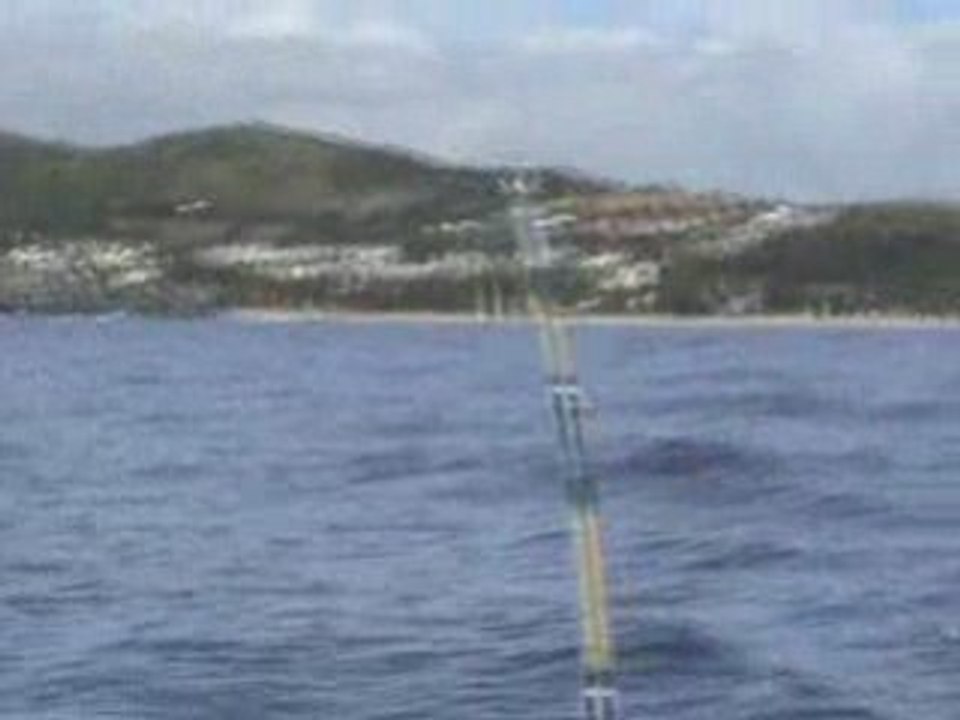 Organisation bateau