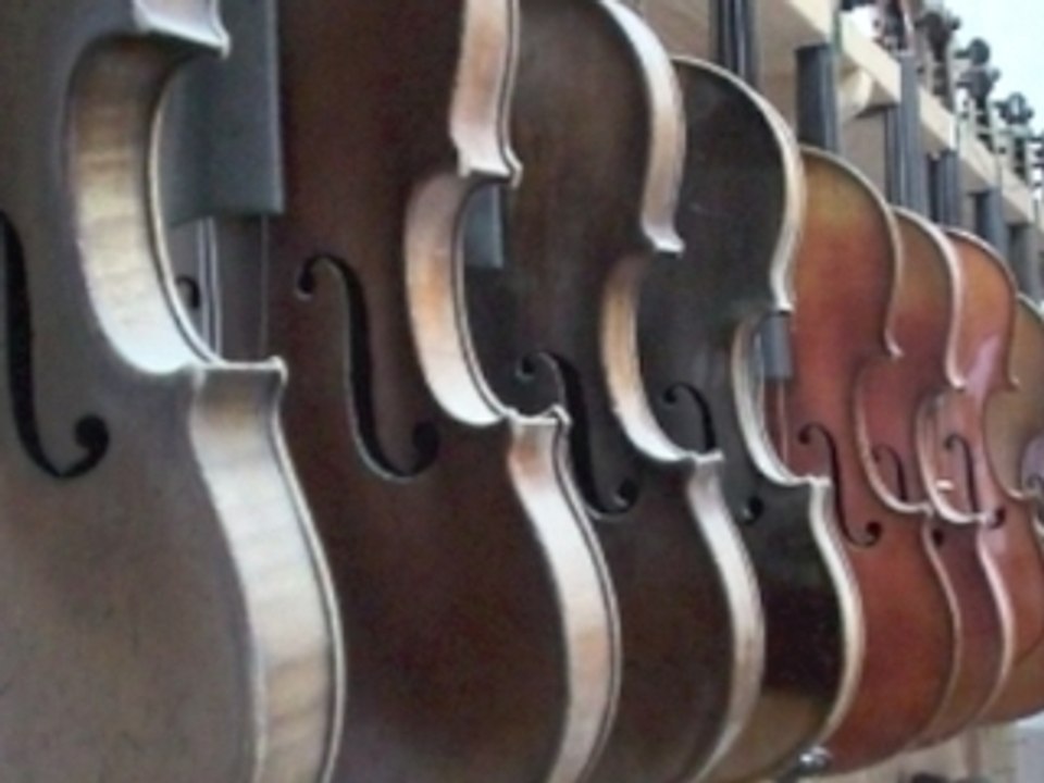 Portrait d'artisans : Le Luthier