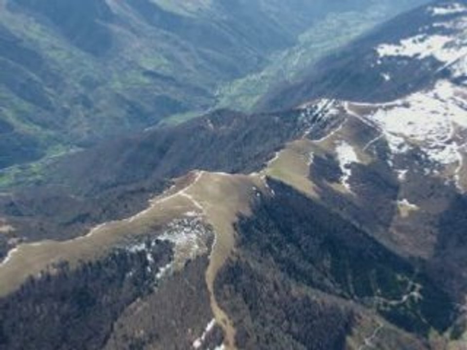 Ulm pyrenees-02