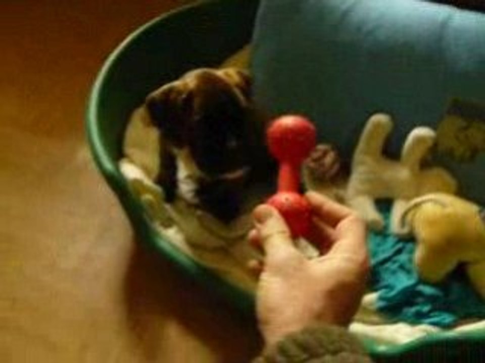 La petite Meryl qui joue.