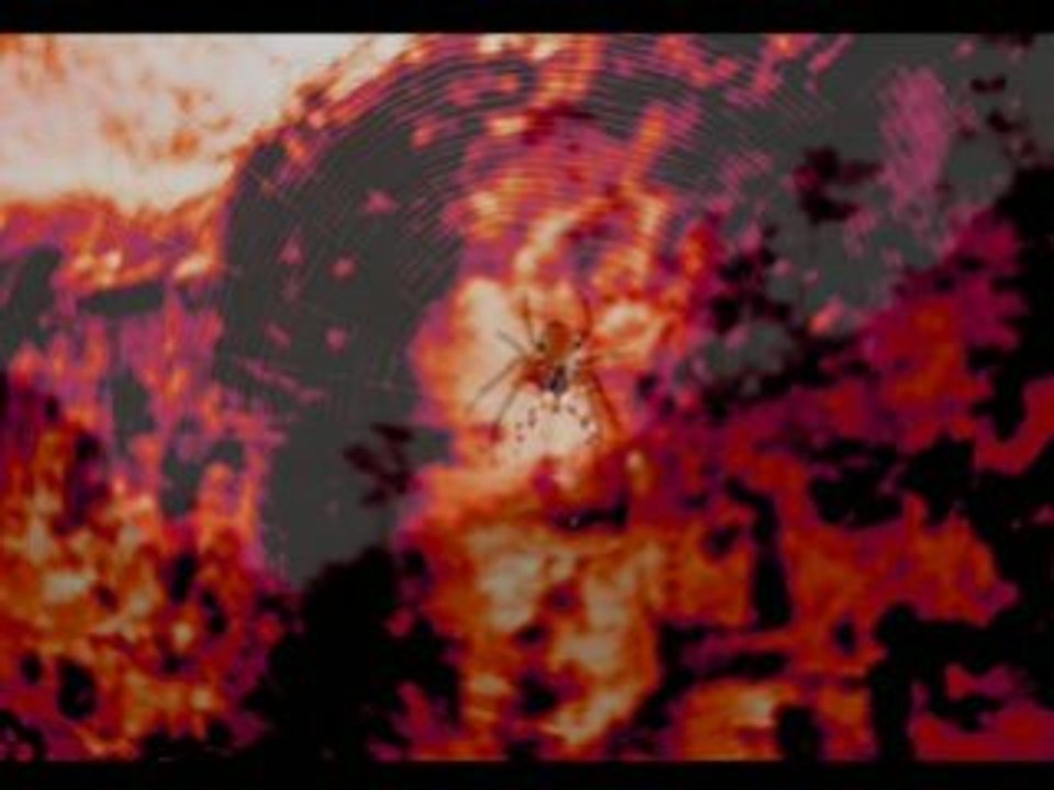 Araignées_3_Crumb_Penderecki