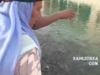 Balıklıgol-yem01 www.sanliurfa.com