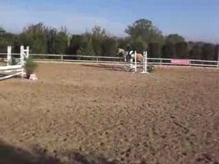 cheval cso