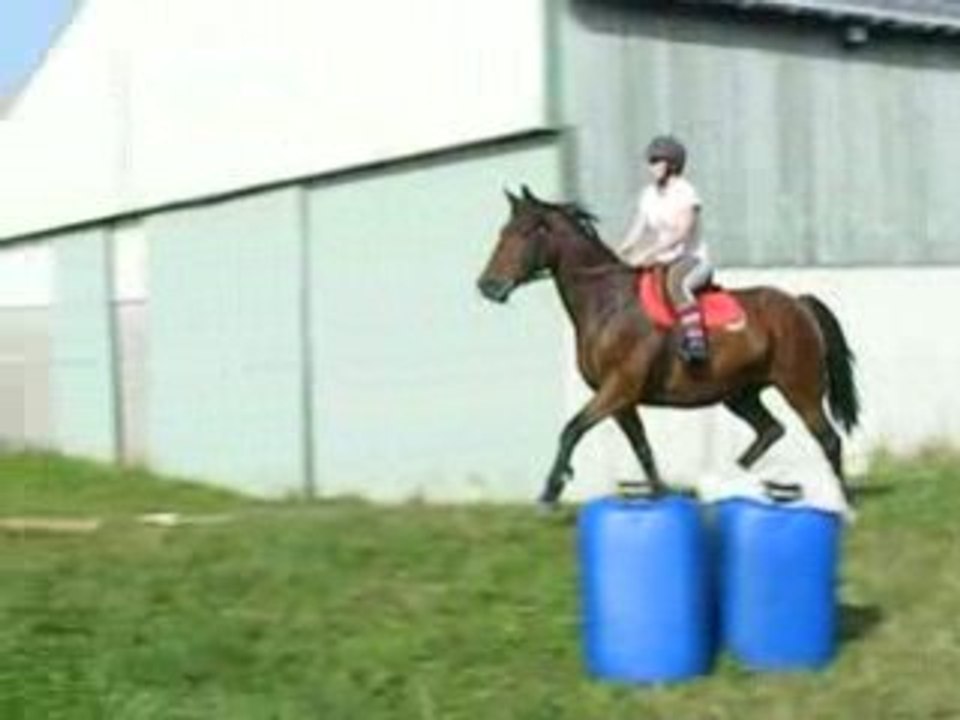 moi et fronfron