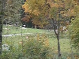 Rallye des Bauges 2008 ES5