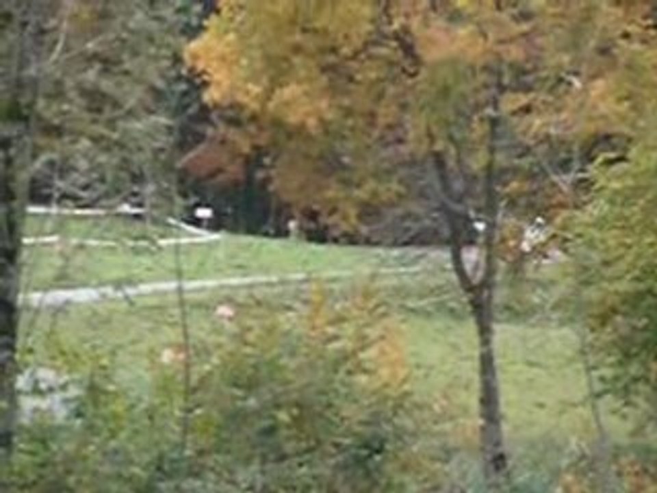 Rallye des Bauges 2008 ES5