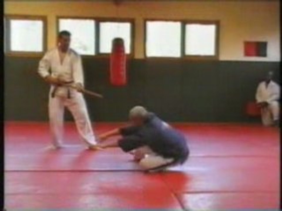 GOSHIN JUTSU PAR BASTIEN