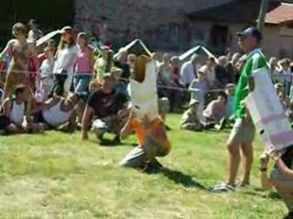 Photo 013