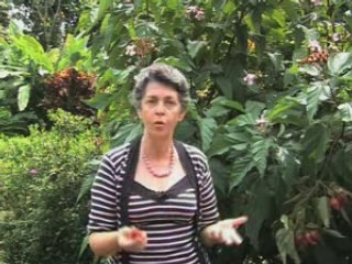 EMISSION " N COMME NATURE "-R COMME ROUCOUYER