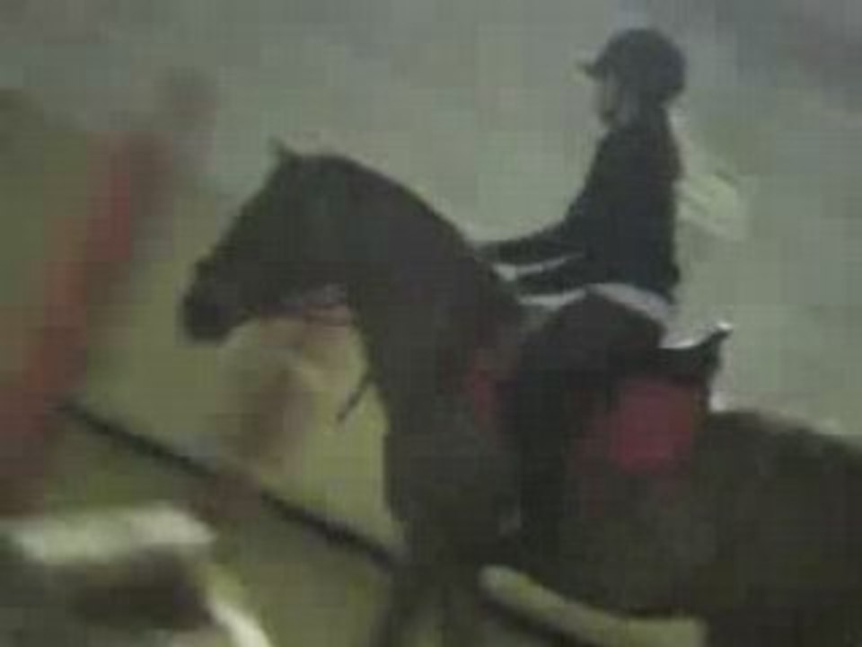 Concour 12 octobre a Mancy.