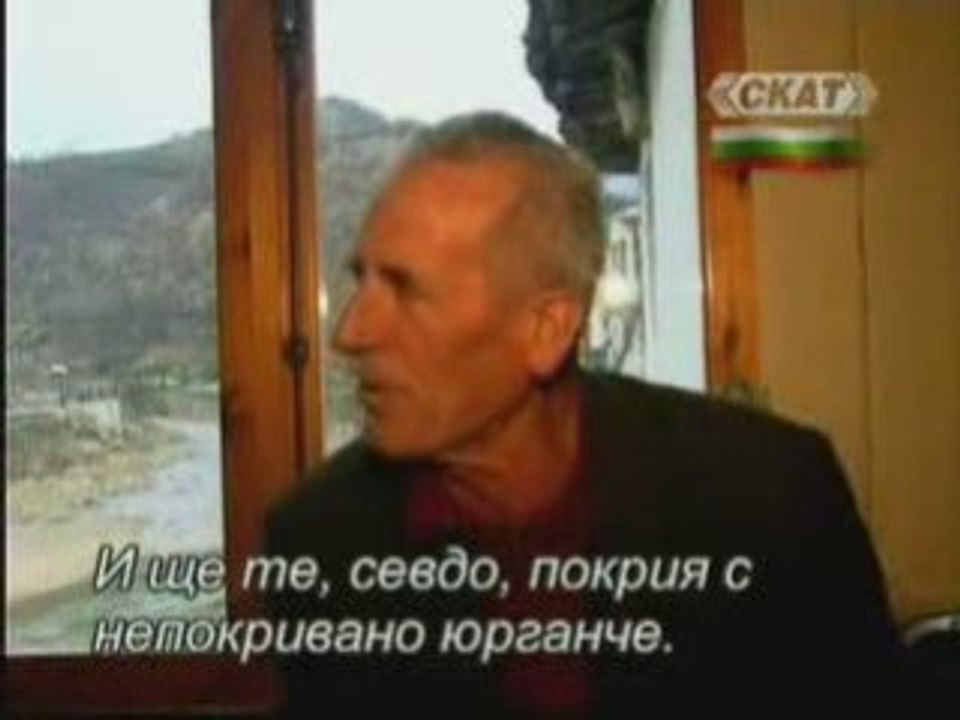 Zad sinora - 1