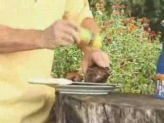 Kentucky BourbonQ: Pappy's Cookout Video #003 - Rack of Lamb