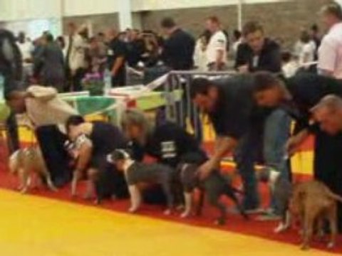 nationale d elevage orleans 2008 super pupy femelle