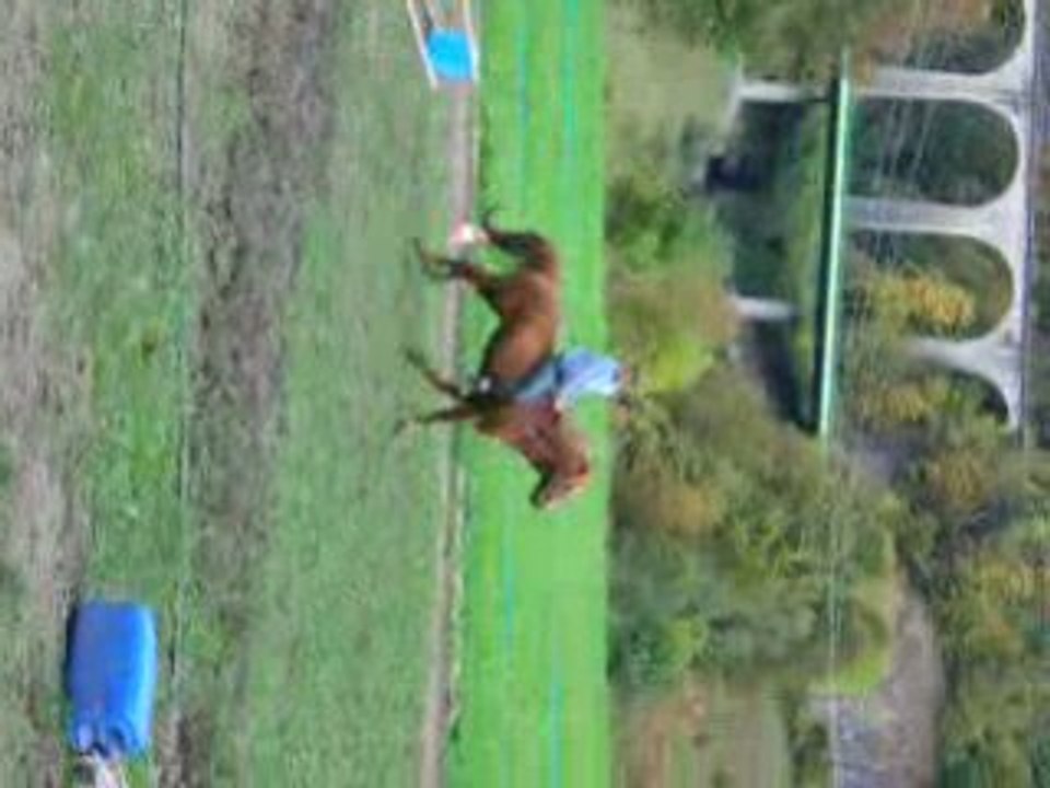 p'tit saut