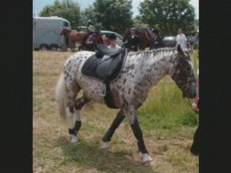 Mon pti cherie