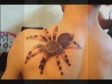 3D Tattoos Arts and Weird Tattoos