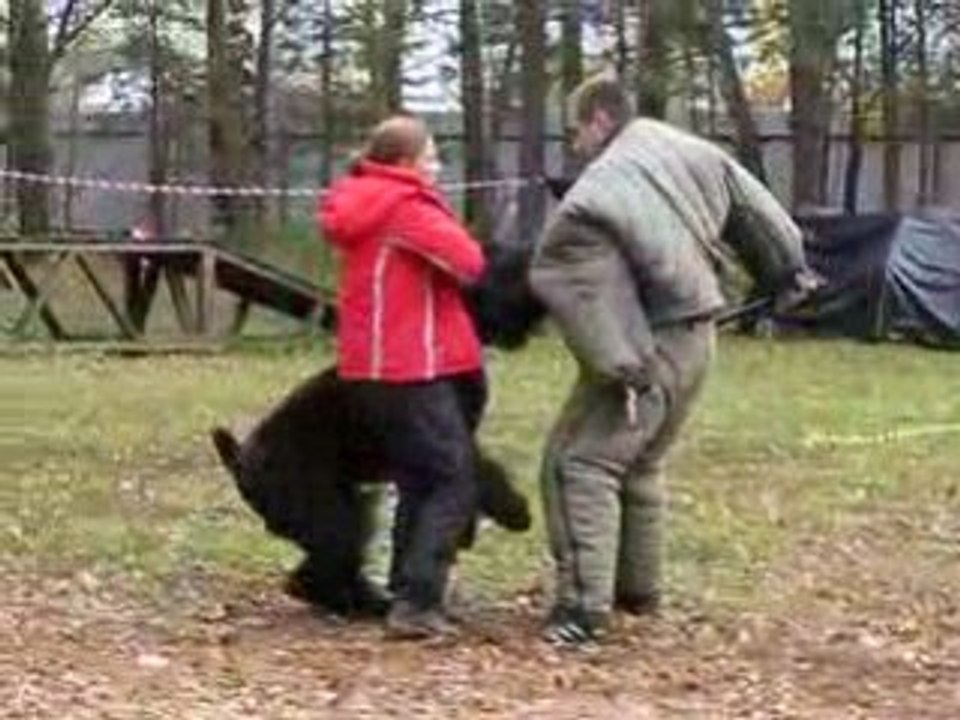 Стольный град Атаман - защита   (продолжение)