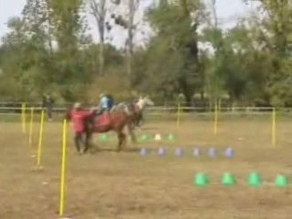 WE HOPE  L'EQUIPE 2008  2009