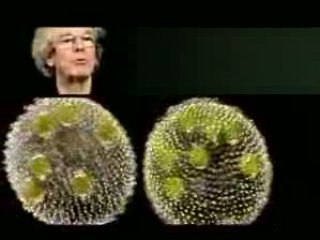 Vie terrestre ! vie extraterrestre