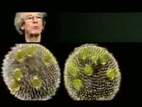 Vie terrestre ! vie extraterrestre