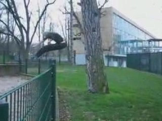 TST-76 Parkour 2006-2007