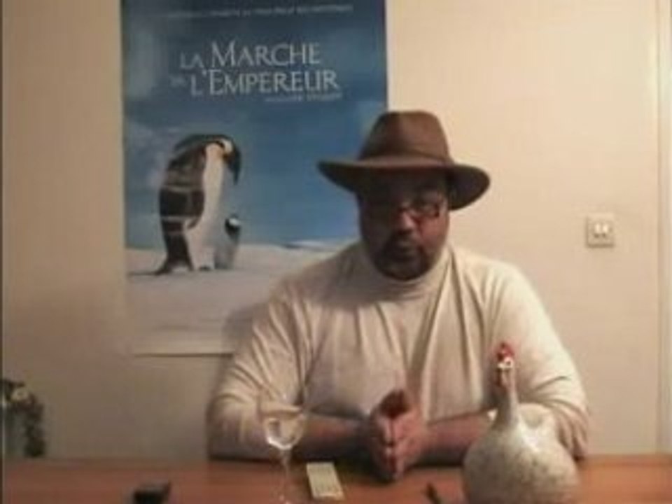 LA MARCHE DES PINGOUINS